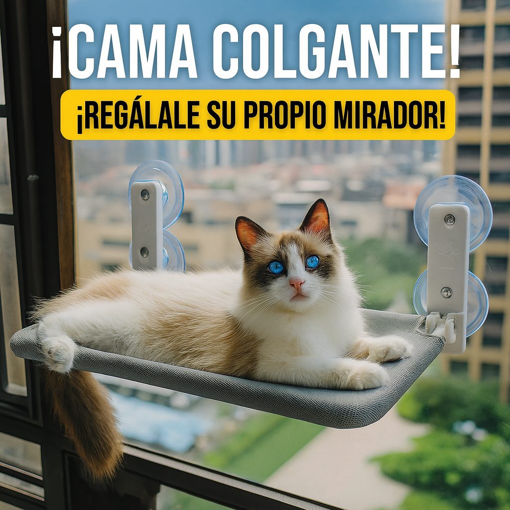 Cama colgante para gato 4 Ventosas